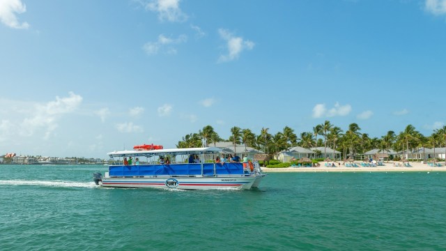 Tour boat on clear water near a beach with palm trees and buildings.
