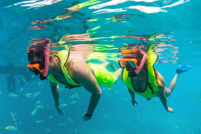 Two snorkelers underwater in bright vests with fish around.