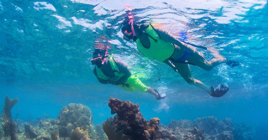 Two snorkelers with neon vests swimming over coral reef.