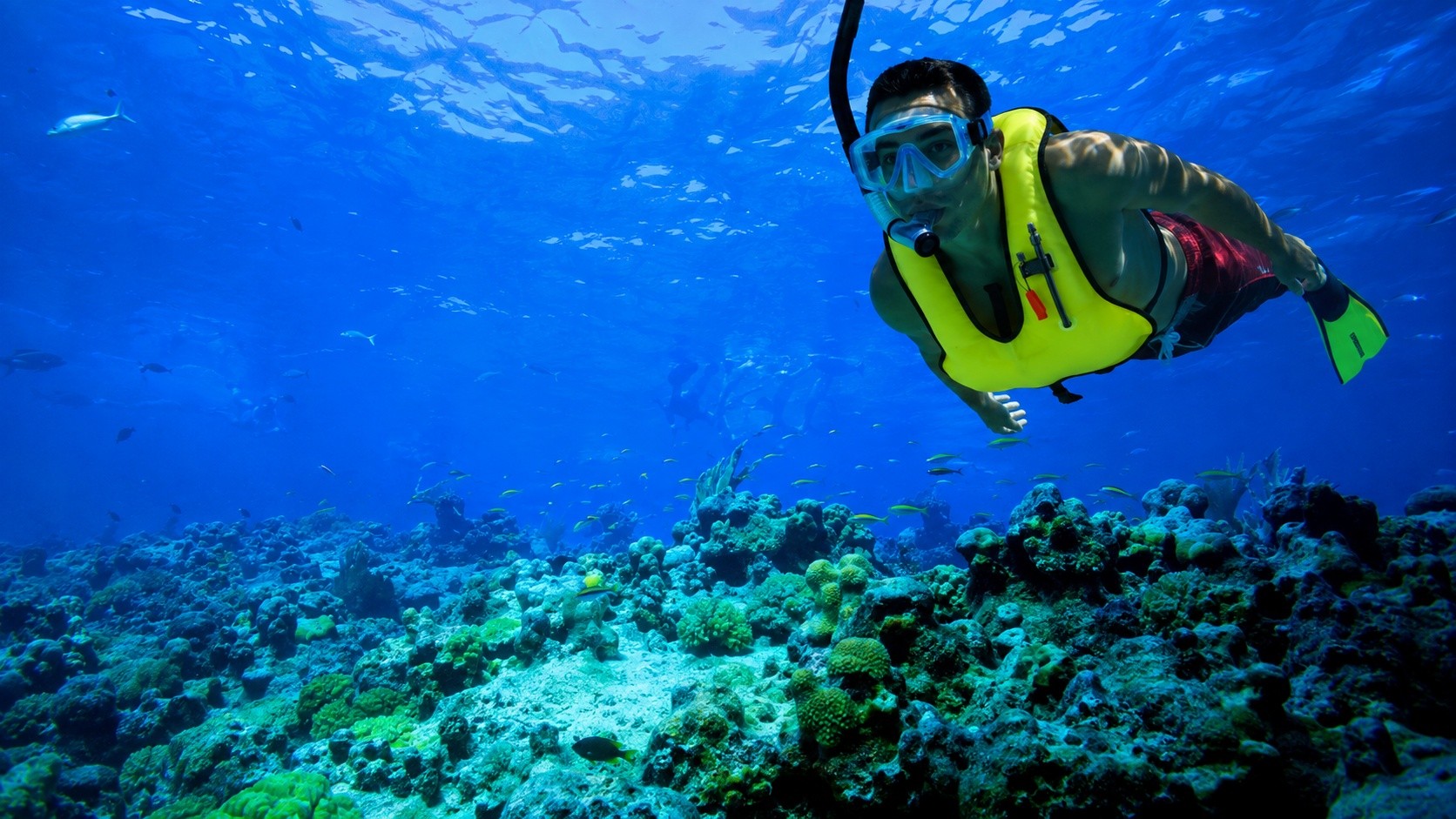 Person snorkeling above vibrant coral reef in clear blue water.